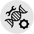 DNA Icon